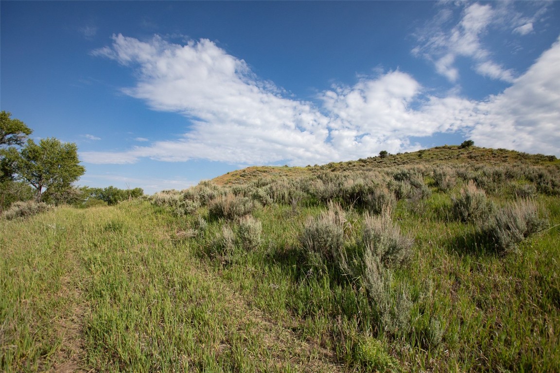 Tbd Tbd Tbd Hayden, CO 81639 - Photo 11 of 19 a view of a bunch of trees