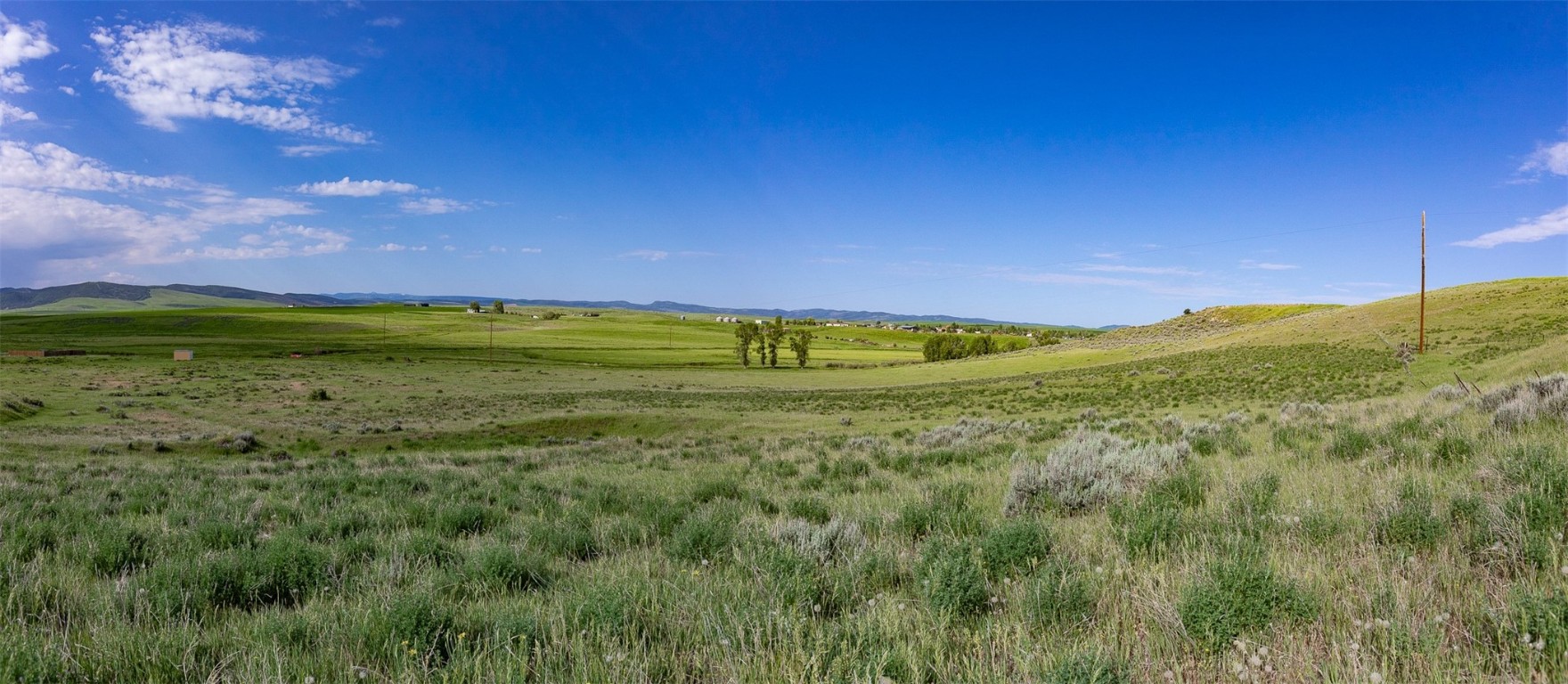 Tbd Tbd Tbd Hayden, CO 81639 - Photo 7 of 19 a view of a yard with an trees