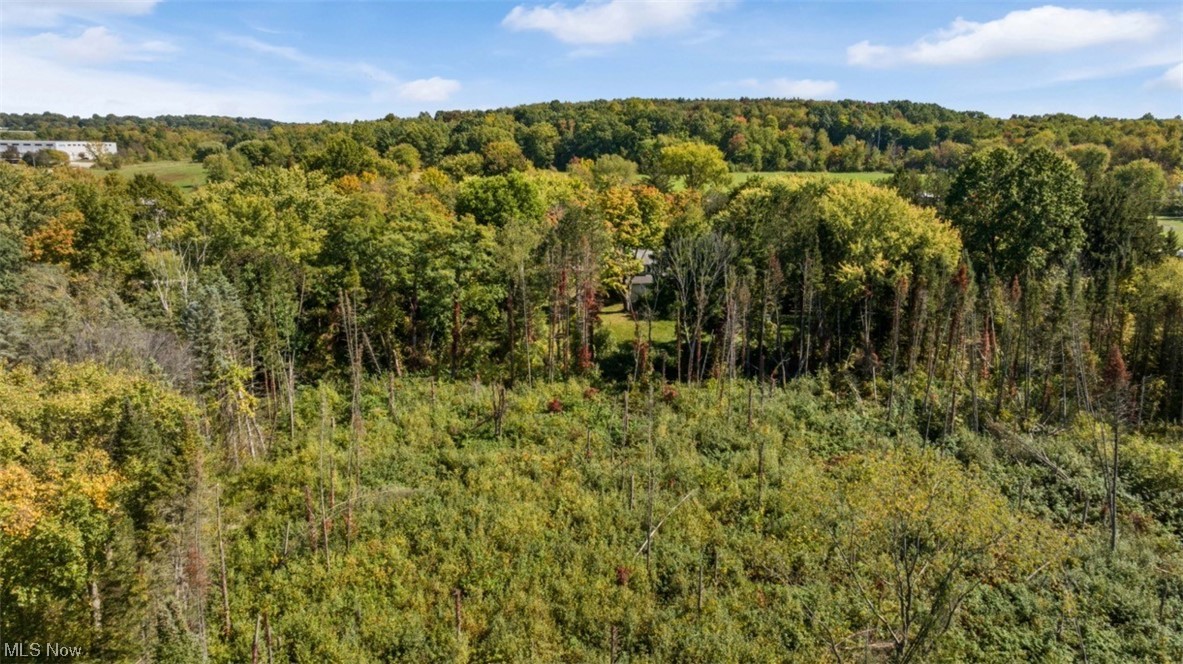 9884 Rittman Road Wadsworth, OH 44281 - Photo 5 of 27 View of nature