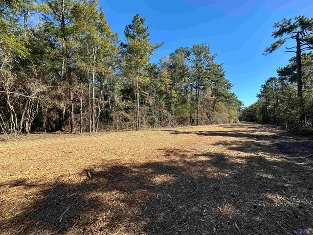 $85,000 | 23483 Heritage Acres Lane, Robert, LA 70455
