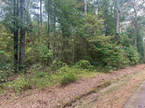 $85,000 | 23483 Heritage Acres Lane, Robert, LA 70455