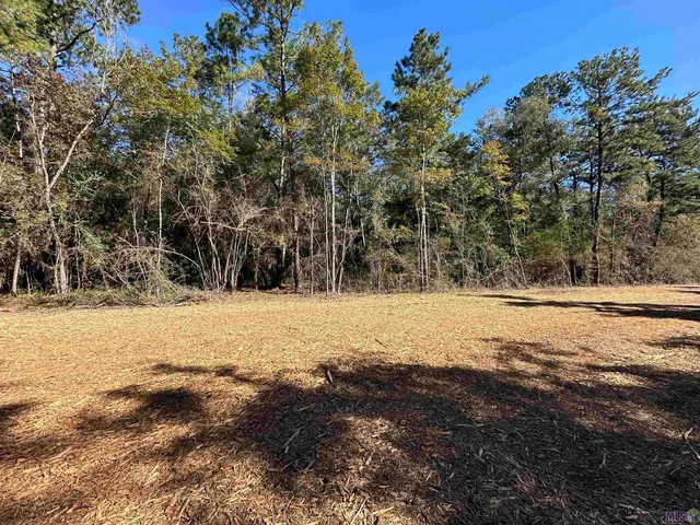 $85,000 | 23483 Heritage Acres Lane, Robert, LA 70455