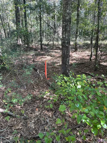 $85,000 | 23483 Heritage Acres Lane, Robert, LA 70455