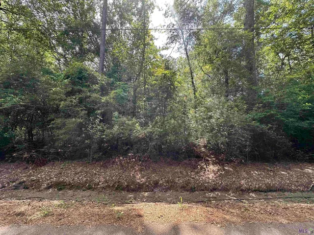 $85,000 | 23483 Heritage Acres Lane, Robert, LA 70455