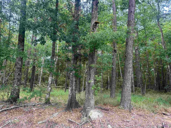$85,000 | 23483 Heritage Acres Lane, Robert, LA 70455