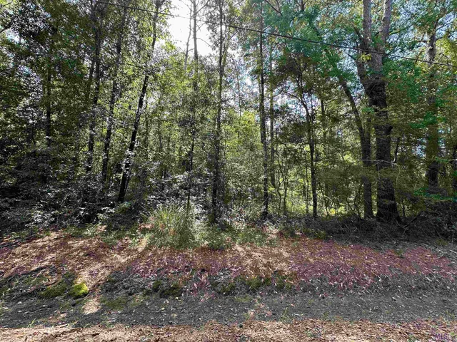 $85,000 | 23483 Heritage Acres Lane, Robert, LA 70455