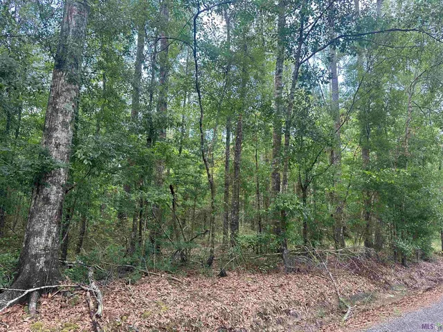 $85,000 | 23483 Heritage Acres Lane, Robert, LA 70455