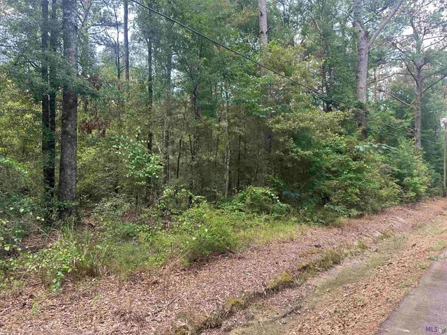 $85,000 | 23483 Heritage Acres Lane, Robert, LA 70455