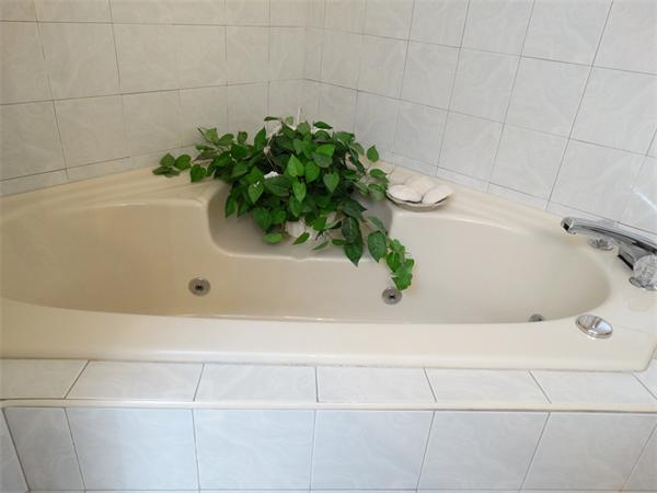 17 Grover Road Ashland, MA 01721 - Photo 22 of 26 a bathroom with a bathtub