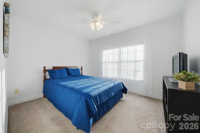 a view of backyard with trampoline