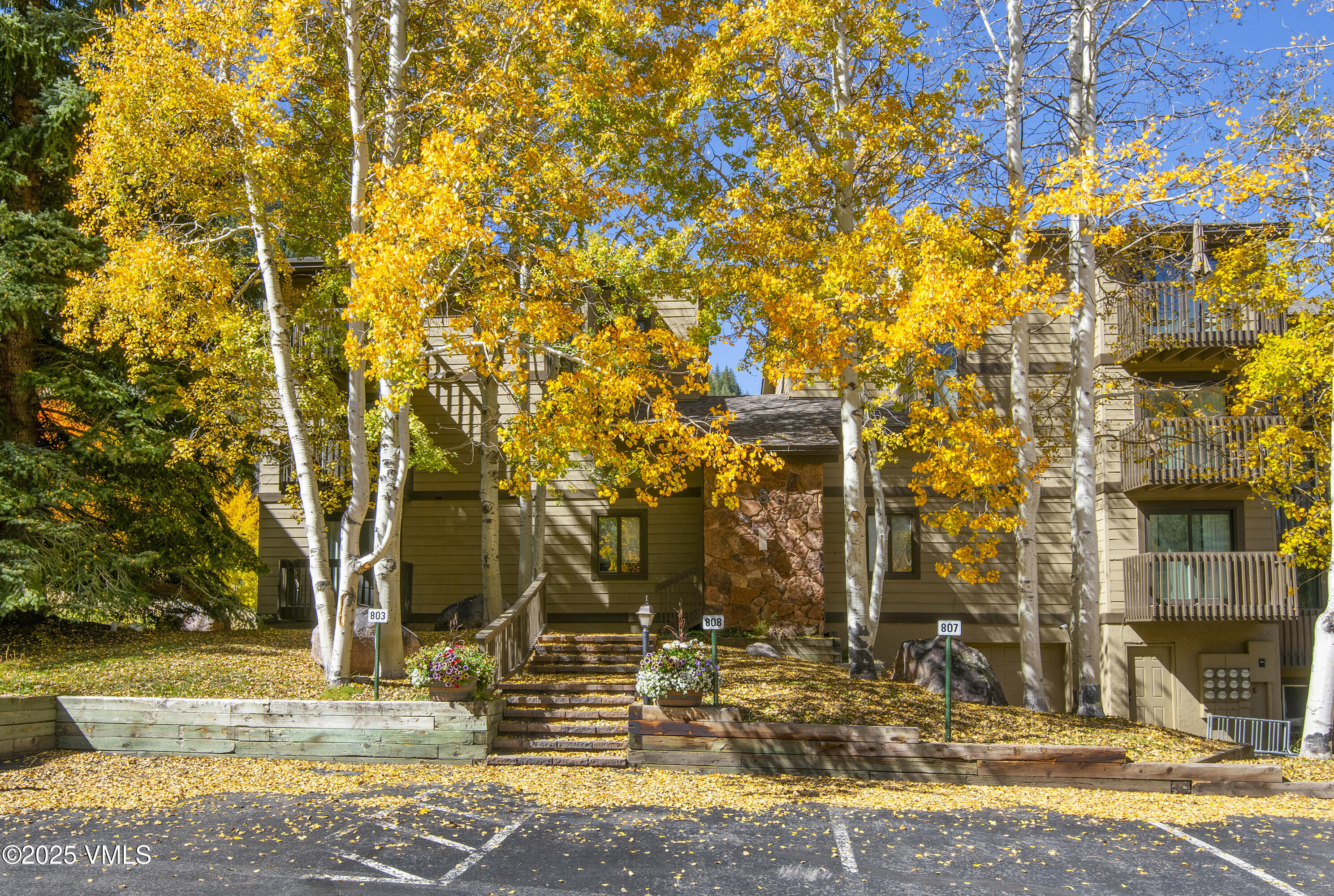 4516 Meadow Drive, Unit 807 Vail, CO 81657 - Photo 2 of 35 a view of road with large trees