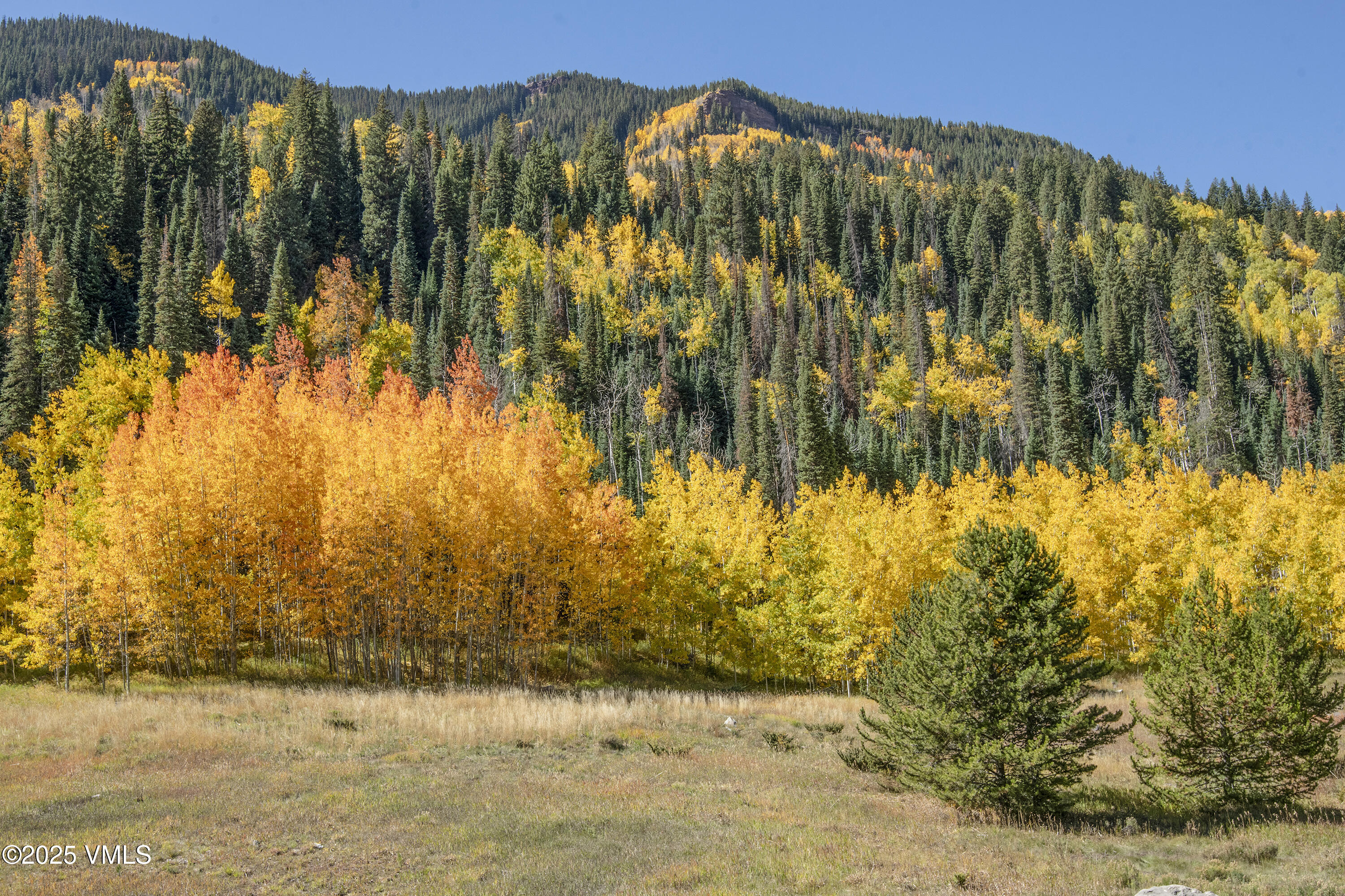 4516 Meadow Drive, Unit 807 Vail, CO 81657 - Photo 24 of 35