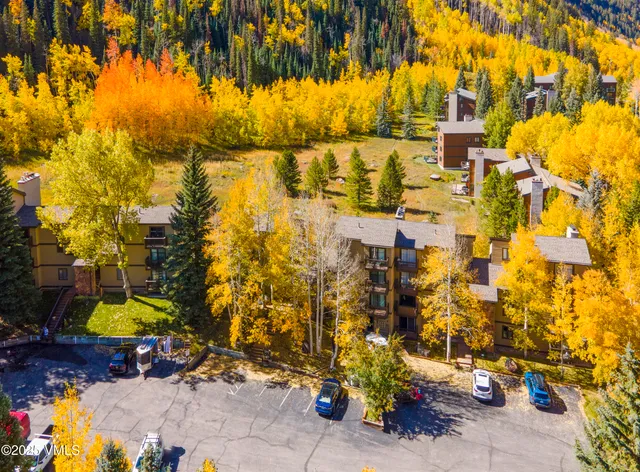a view of a tennis ground with a large tree