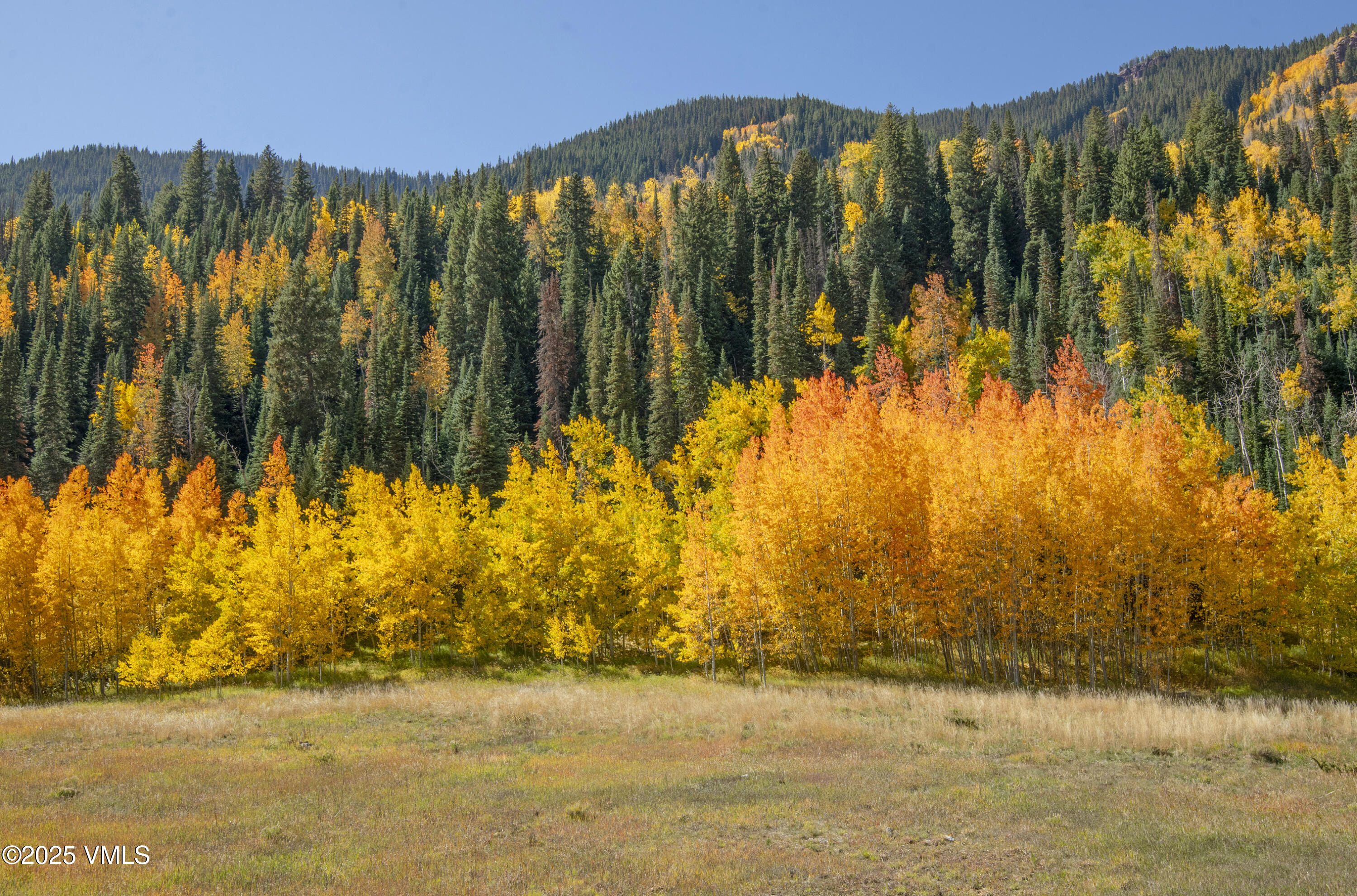 4516 Meadow Drive, Unit 807 Vail, CO 81657 - Photo 5 of 35