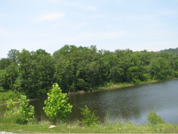 Lot#135 Beechwood Drive Reeds Spring, MO 65737 - Photo 1 of 1 Primary Photo