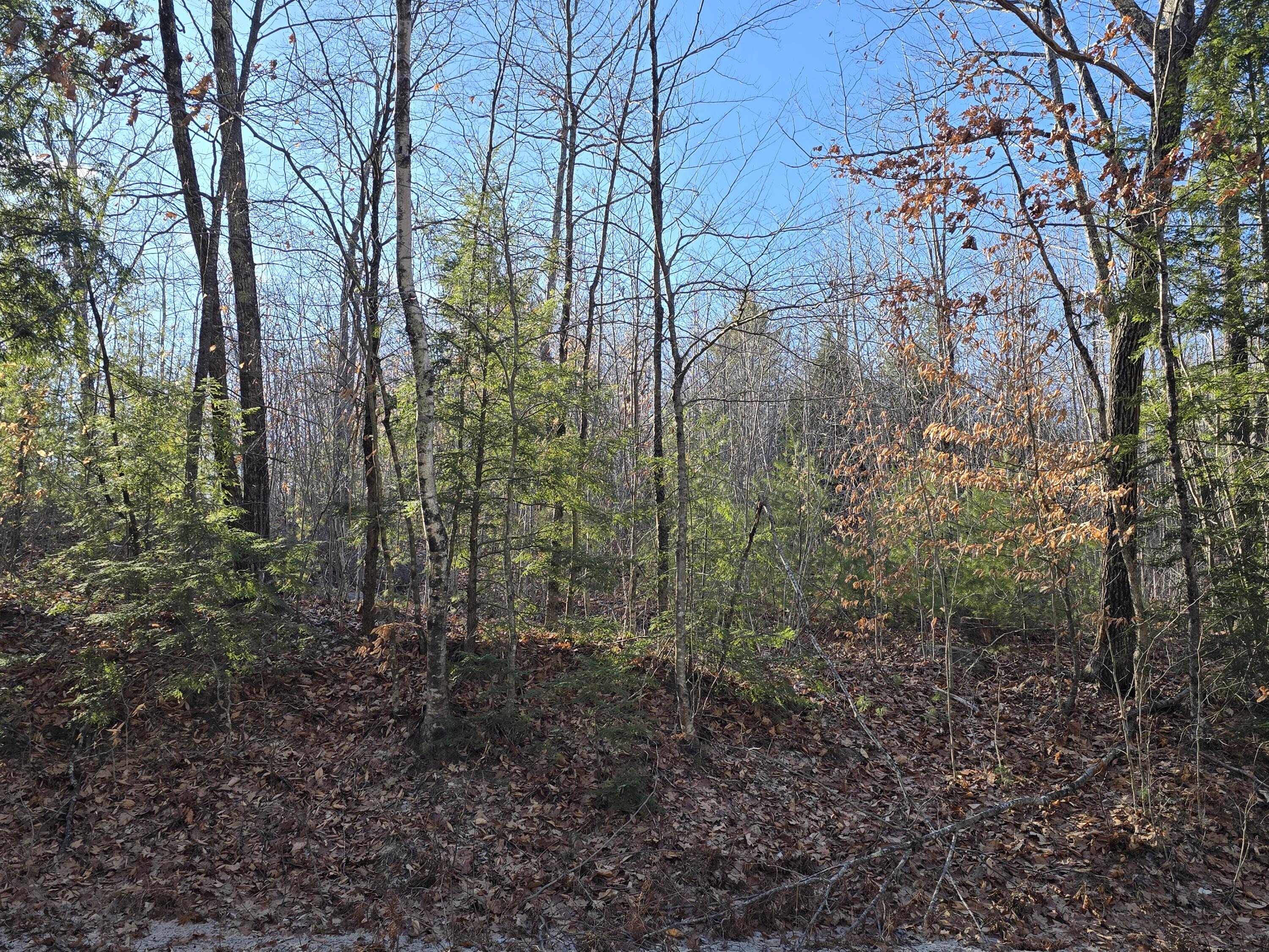Lot 22 Songo School Road Naples, ME 04055 - Photo 3 of 5 1000001391