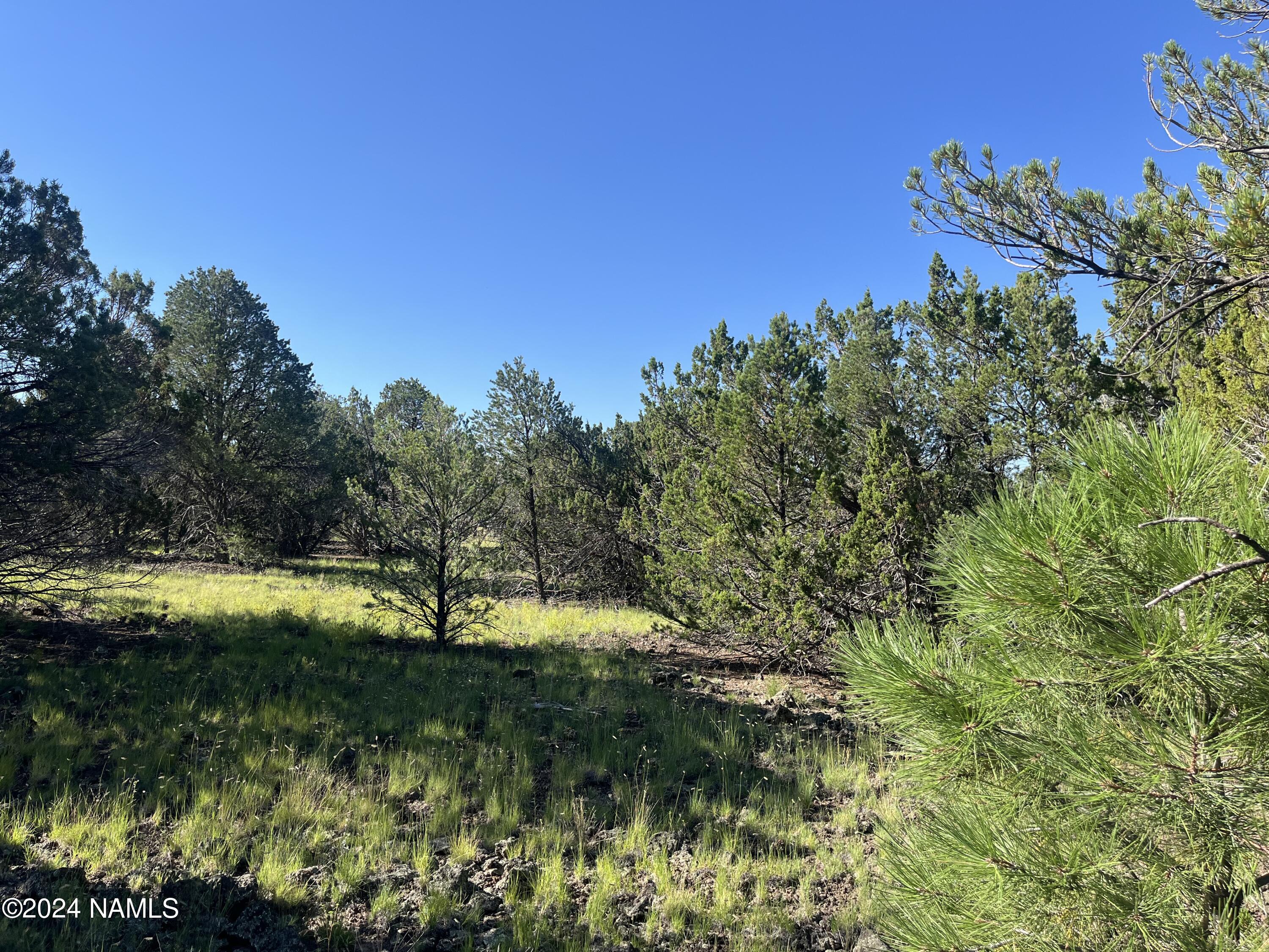 6779 North Santa Fe Road, Unit 424 Williams, AZ 86046 - Photo 1 of 11 IMG_1231