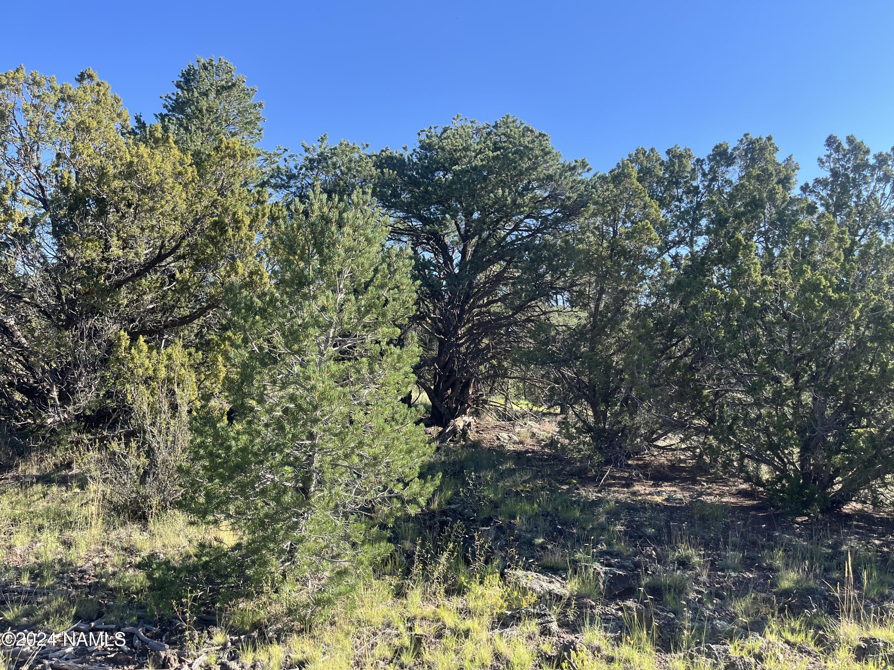 6779 North Santa Fe Road, Unit 424 Williams, AZ 86046 - Photo 11 of 11 IMG_1225