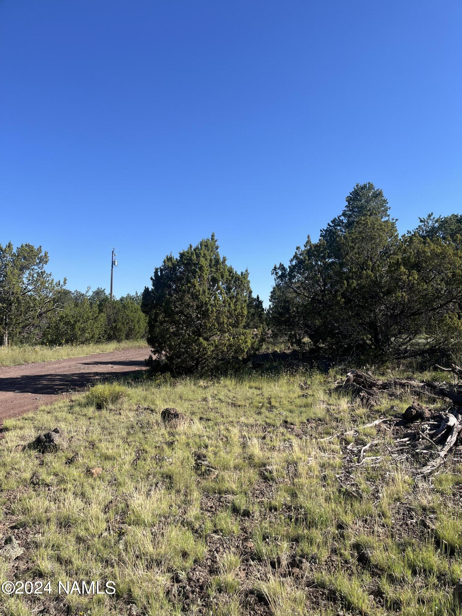 6779 North Santa Fe Road, Unit 424 Williams, AZ 86046 - Photo 3 of 11 IMG_1234