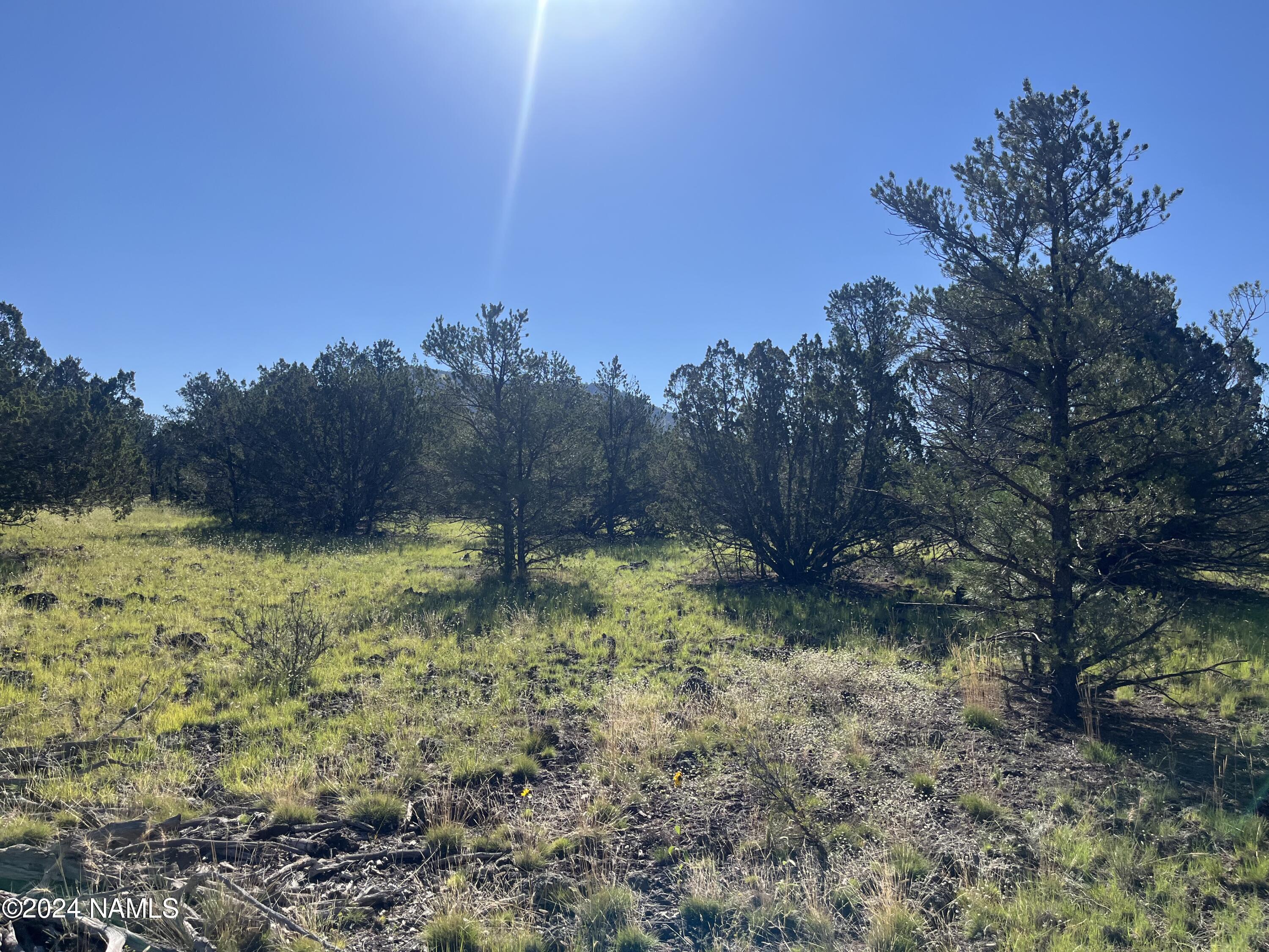6779 North Santa Fe Road, Unit 424 Williams, AZ 86046 - Photo 5 of 11 IMG_1235 (1)