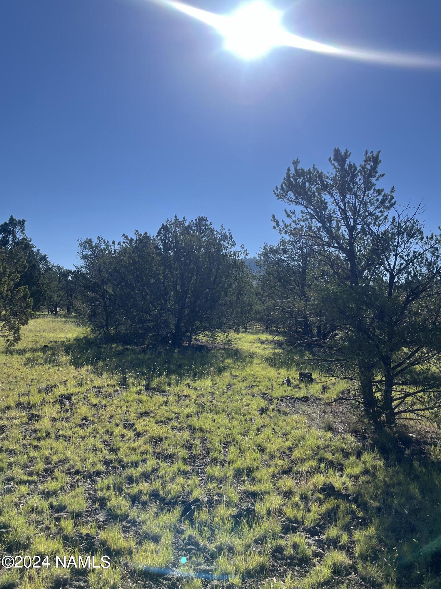 6779 North Santa Fe Road, Unit 424 Williams, AZ 86046 - Photo 8 of 11 IMG_1219