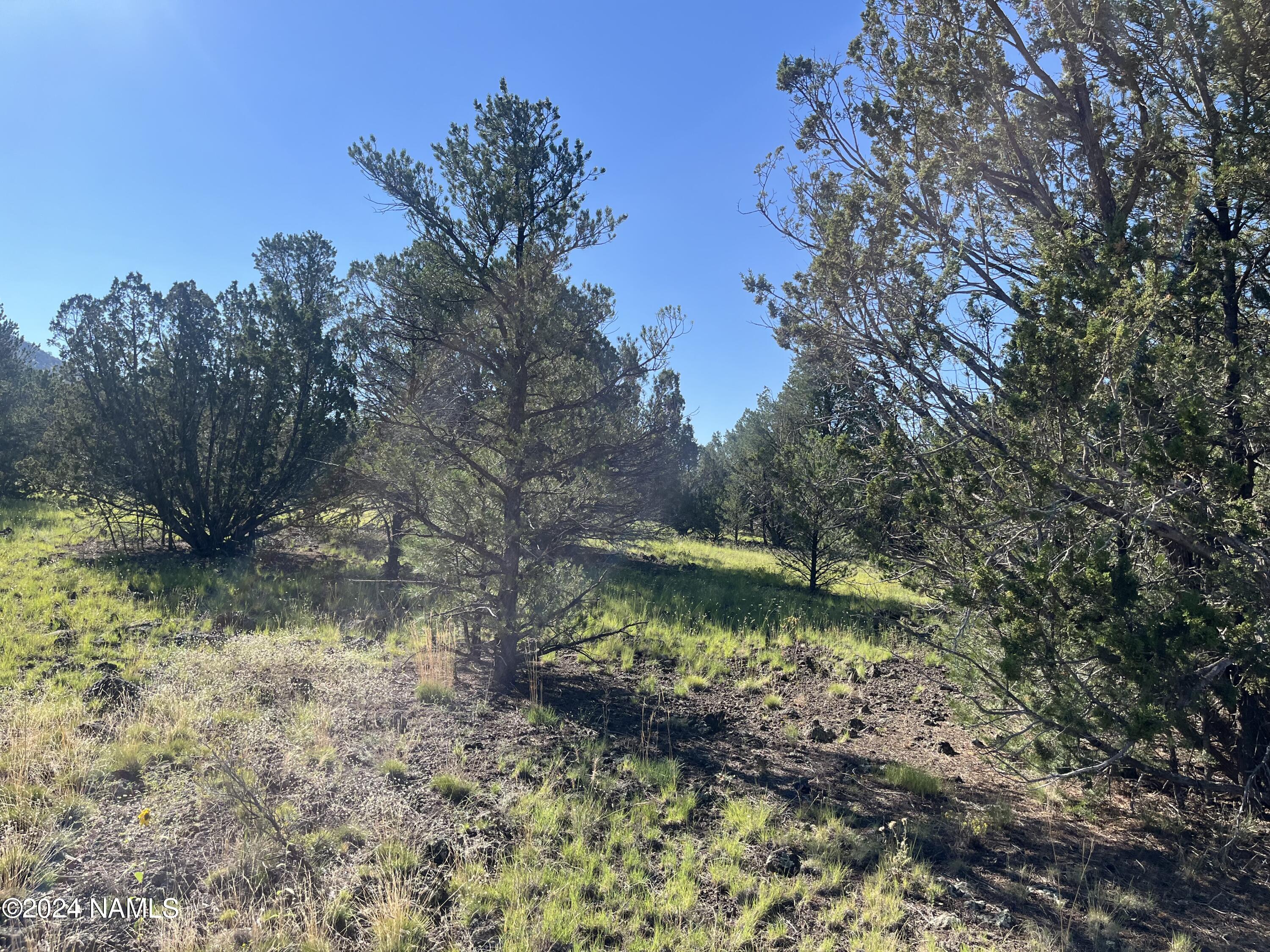 6779 North Santa Fe Road, Unit 424 Williams, AZ 86046 - Photo 9 of 11 IMG_1217
