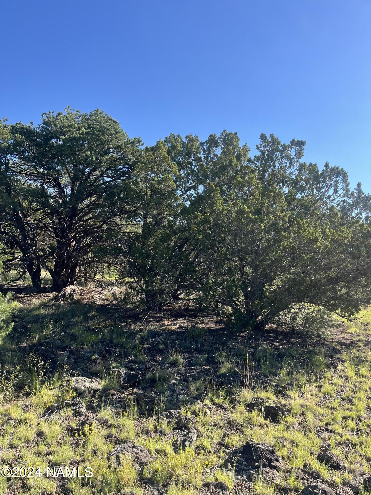 6779 North Santa Fe Road, Unit 424 Williams, AZ 86046 - Photo 10 of 11 IMG_1220 (1)