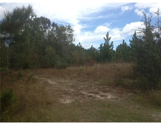Nkn Albert Davis Road Lucedale, MS 39452 - Photo 1 of 1 Primary Photo