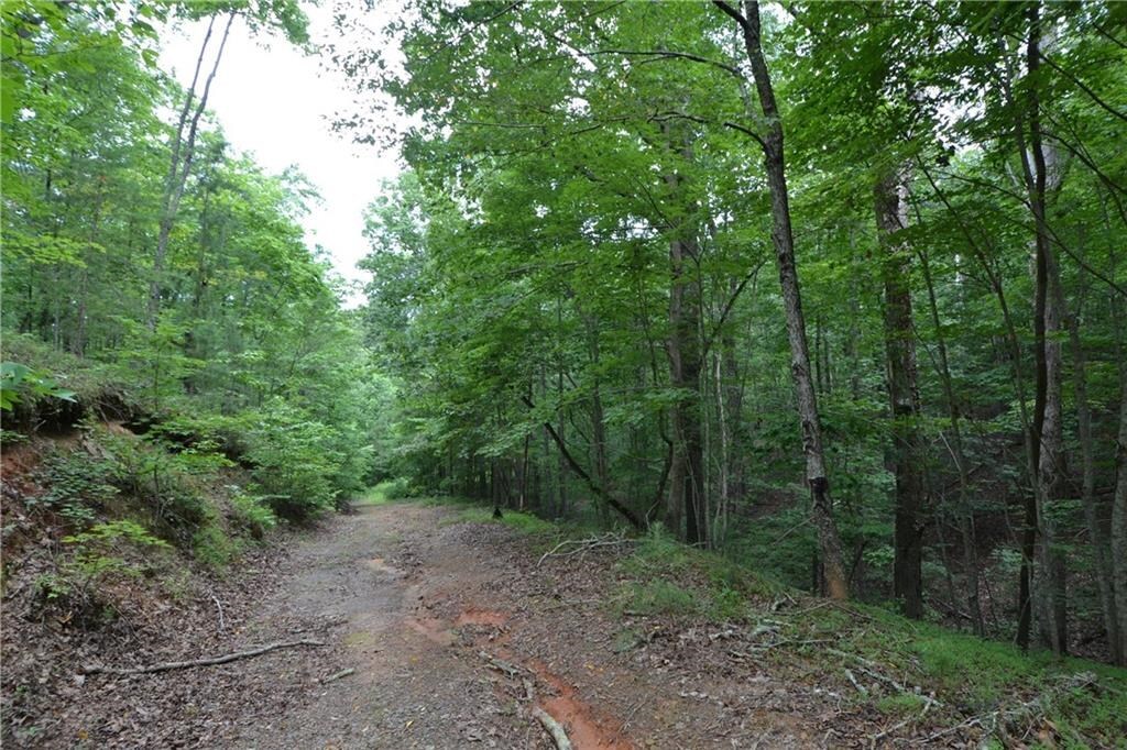 52 Camp Branch Road Ellijay, GA 30540 - Photo 1 of 1 Gallery Image 1