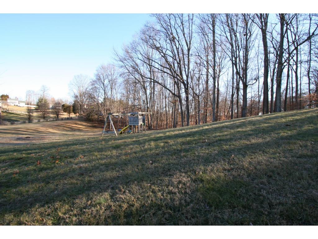 109 Reece Court North Jonesborough, TN 37659 - Photo 16 of 19 play area