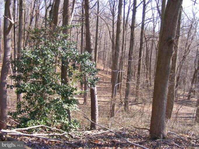 Wesley Chapel Road Monkton, MD 21111 - Photo 3 of 6 Wooded View / Acreage 2
