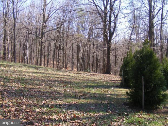 Wesley Chapel Road Monkton, MD 21111 - Photo 4 of 6 Wooded View / Acreage 3