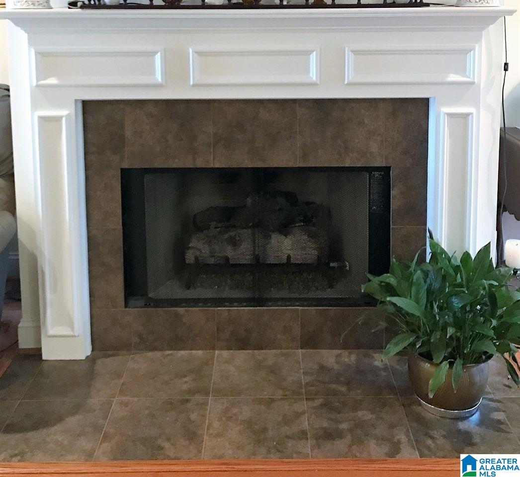 452 Chesser Plantation Lane Chelsea, AL 35043 - Photo 11 of 21