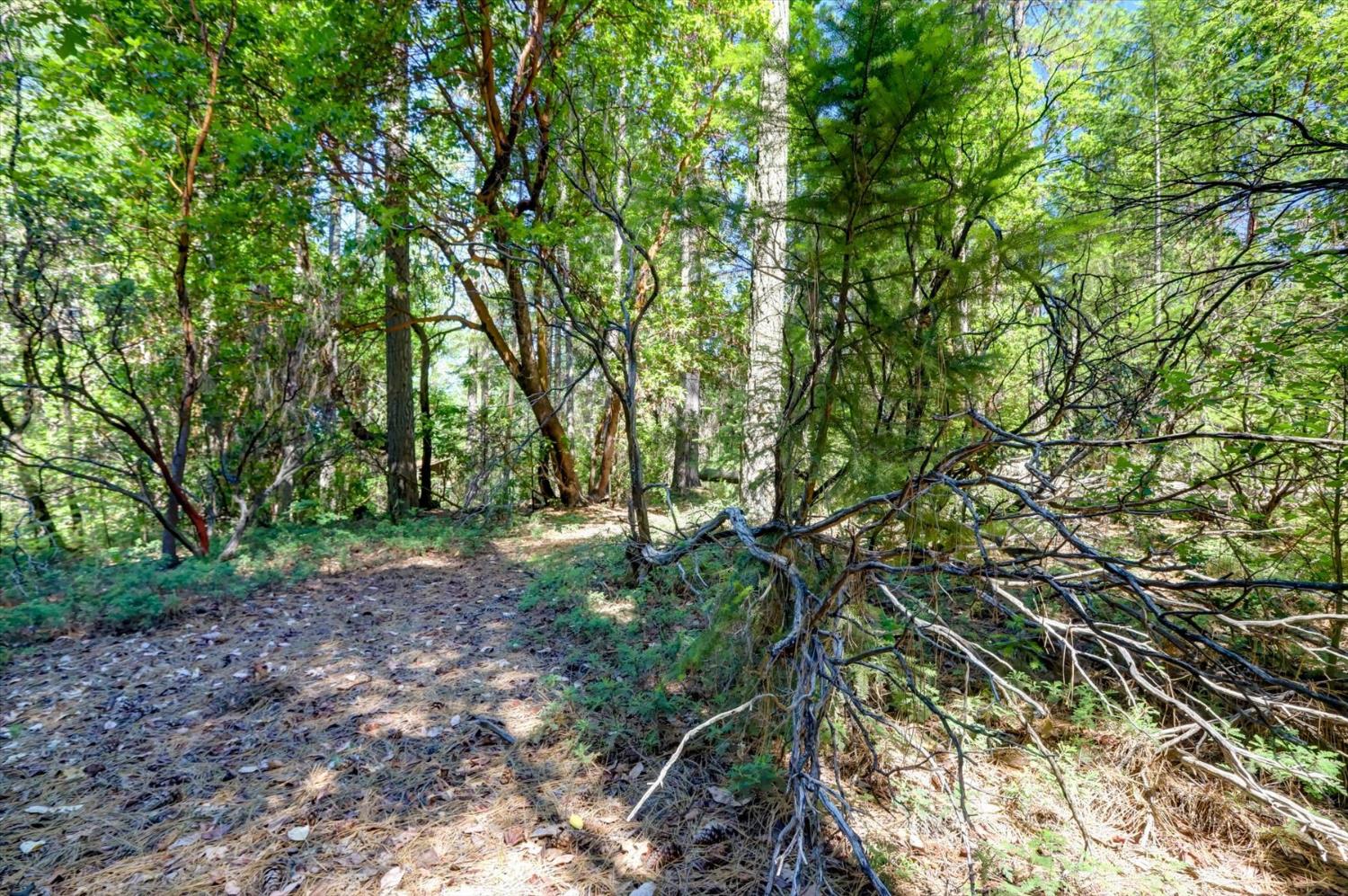 17390 Skyland Road Nevada City, CA 95959 - Photo 10 of 17
