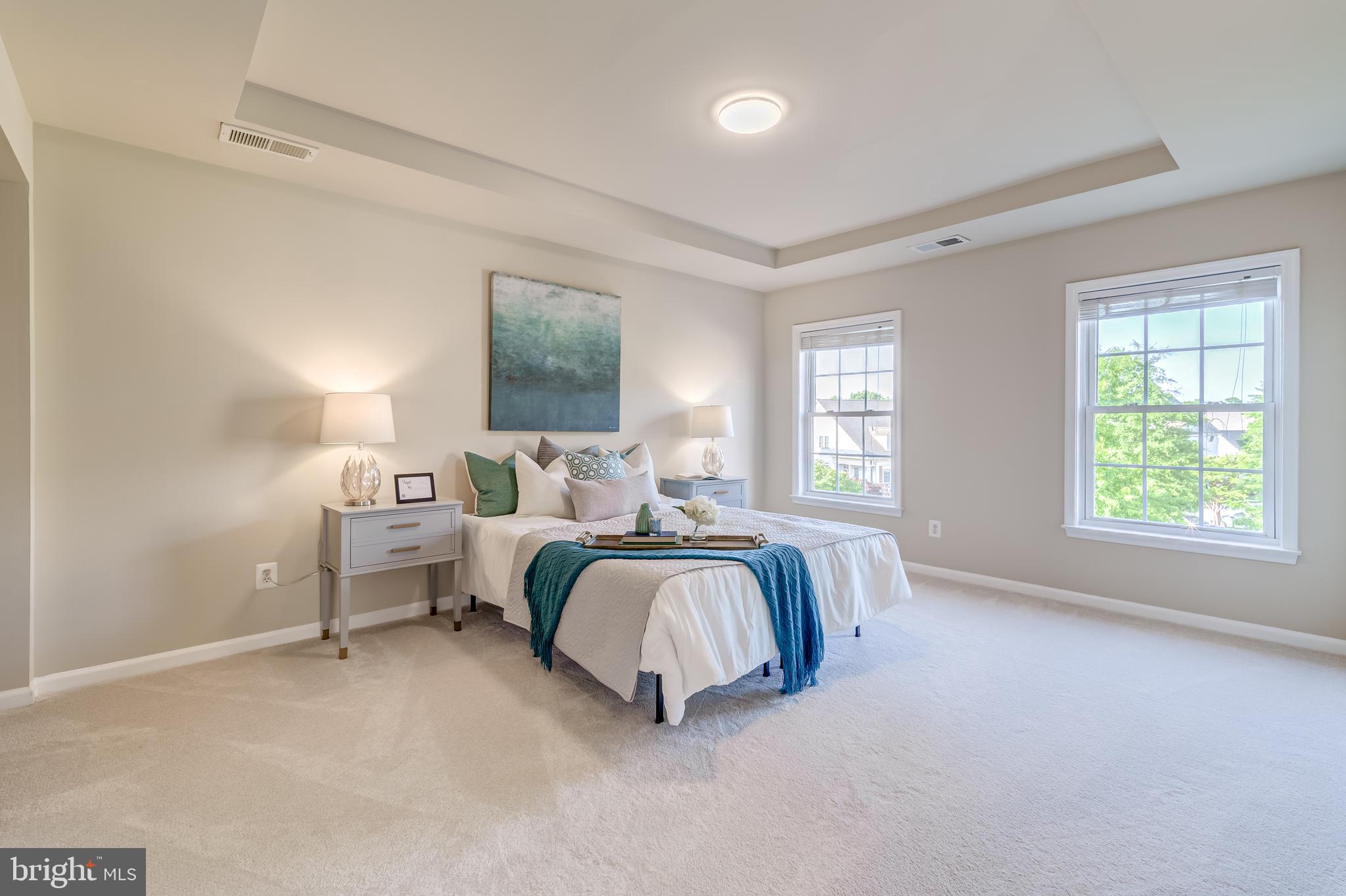 4618 Hummingbird Way, Unit 101 Fairfax, VA 22033 - Photo 5 of 42 Spacious Primary suite with tray ceiling