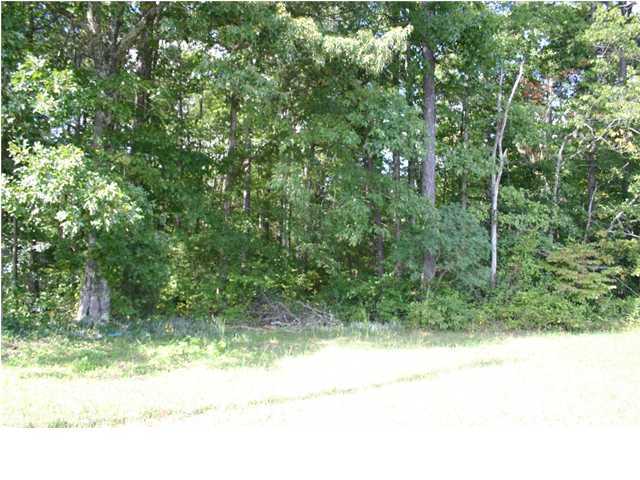 99 Mullins Cove Road Whitwell, TN 37397 - Photo 1 of 1 Primary Photo