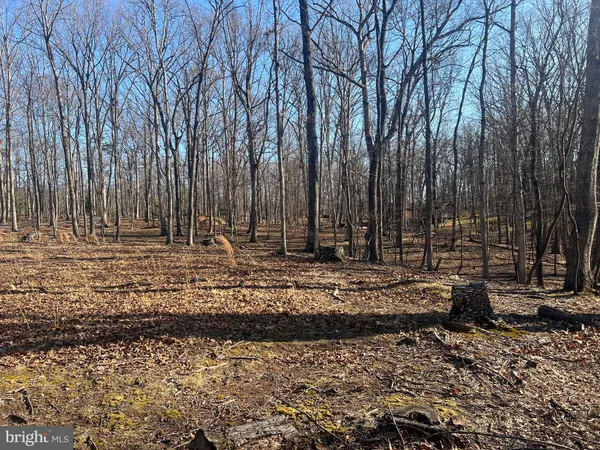 a view of outdoor space with trees