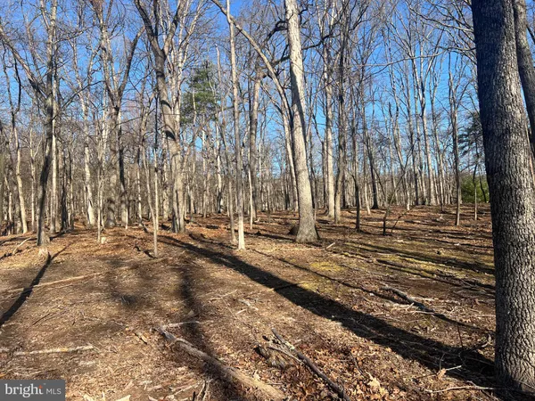 a view of a backyard of the house