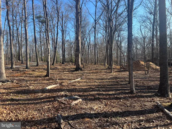 a view of outdoor space with trees