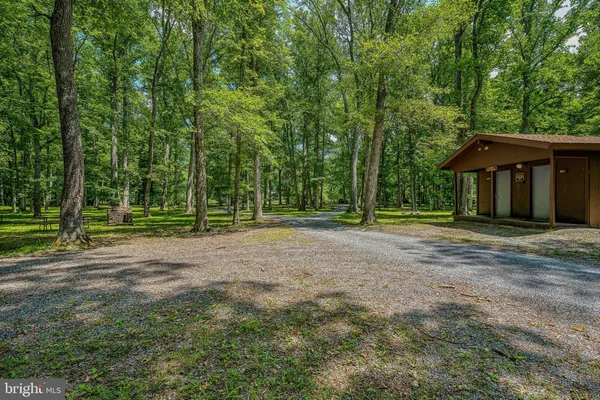 a view of a house with backyard and trees