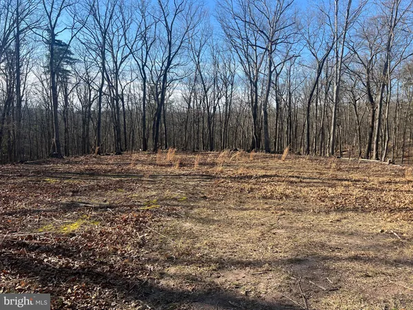 a view of outdoor space with trees