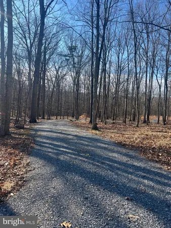 a view of road with trees