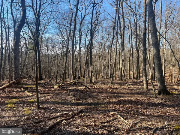 a view of a backyard of the house