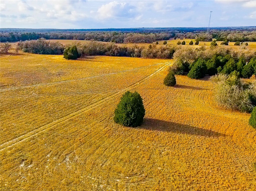 1548 Sayers Road Bastrop, TX 78602 - Photo 1 of 1 Gallery Image 1