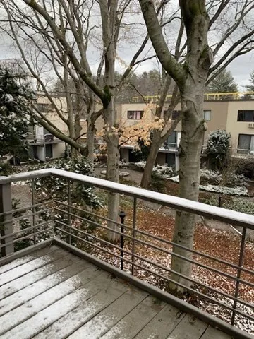 $3,000 | 330 Newton Street, Unit C, Brookline, MA 02467