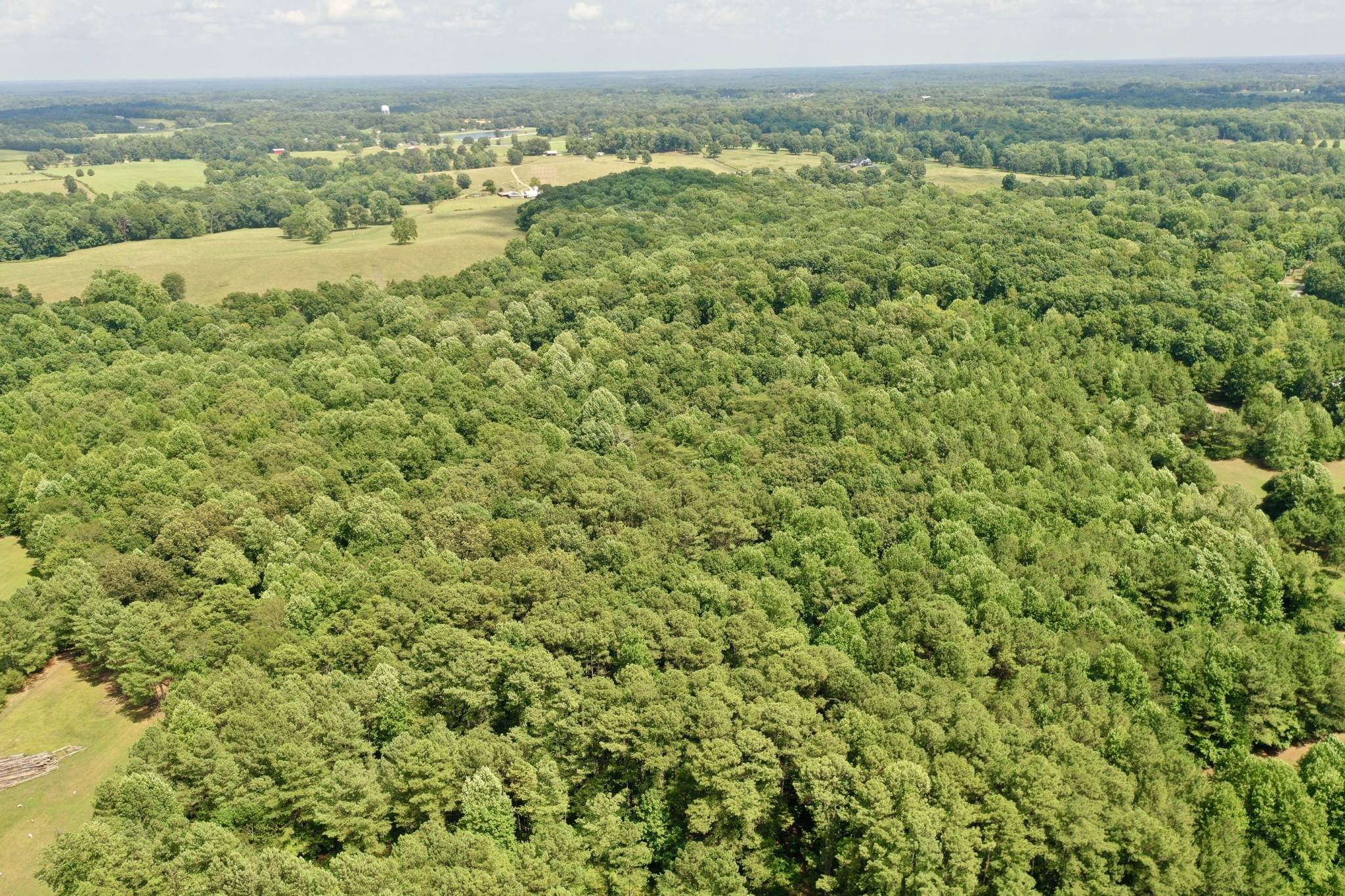 0 South Bear Creek Road Dickson, TN 37055 - Photo 4 of 7 a view of a field with an ocean