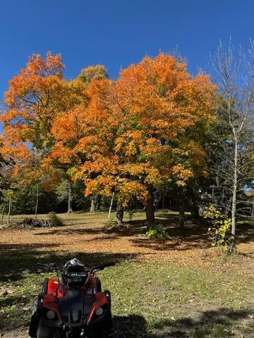 $525,000 | 13276 Donnie Jay Lane, Detroit Lakes, MN 56501