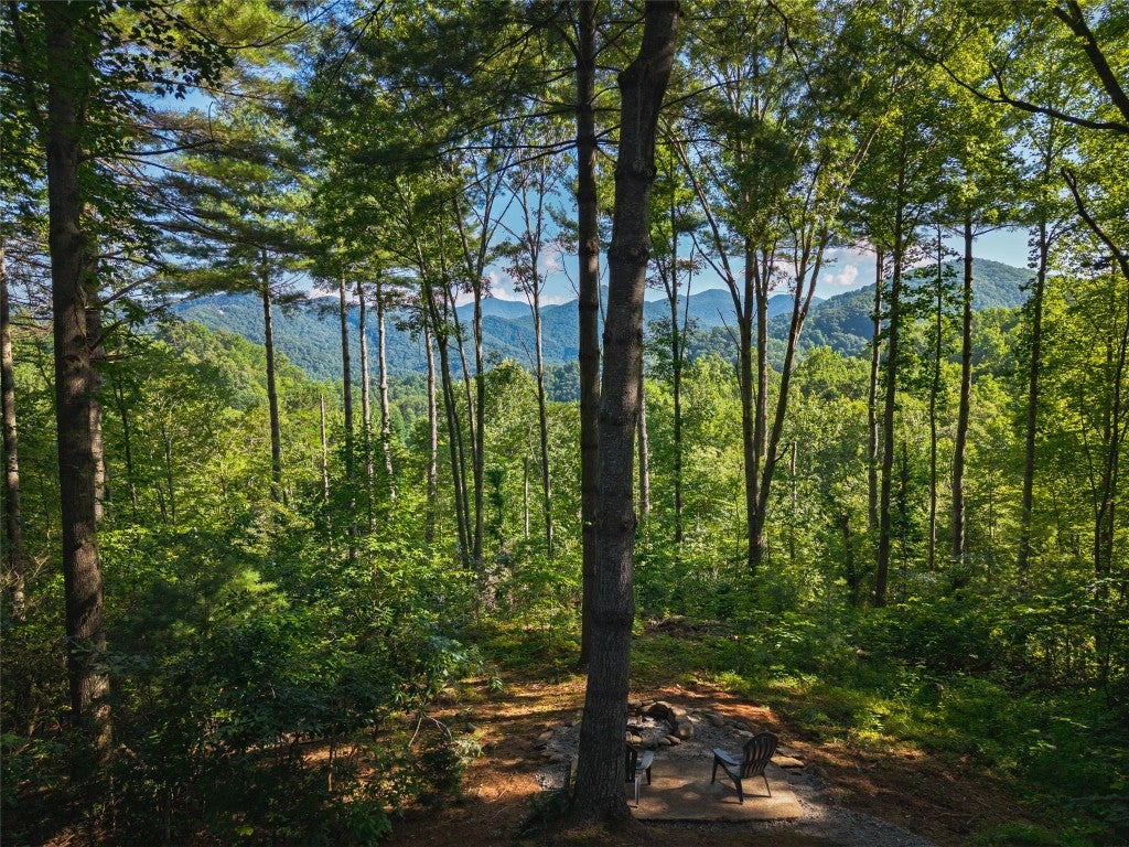 765 Nicholson Cove Road Cullowhee, NC 28723 - Photo 15 of 19 Gallery Image 15