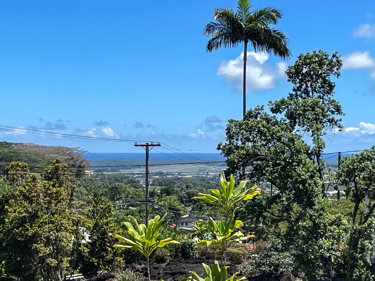 617 Ainako Avenue, Unit 1 Hilo, HI 96720 - Photo 10 of 29 a plant in middle of a garden
