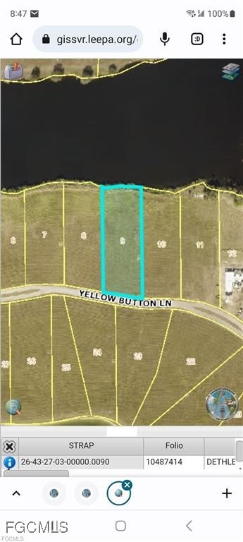 22797 Yellow Button Lane Alva, FL 33920 - Photo 12 of 13 a view of a pool